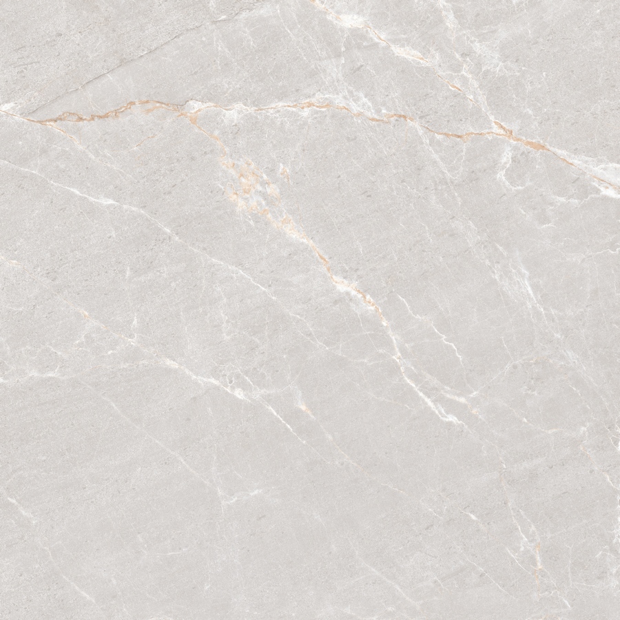 Persian Grey Matt 120x120